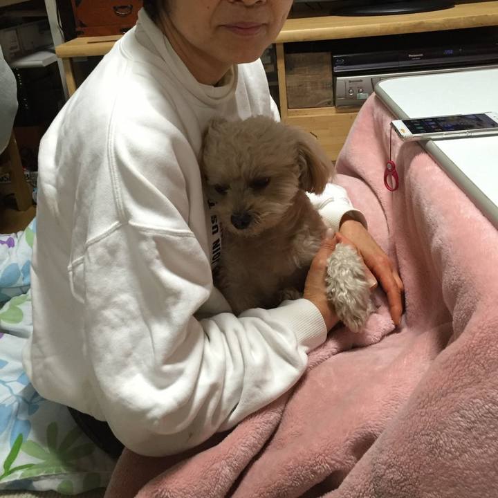 5d47f858 f00f 452c 98f6 46814475d012 1542412116996