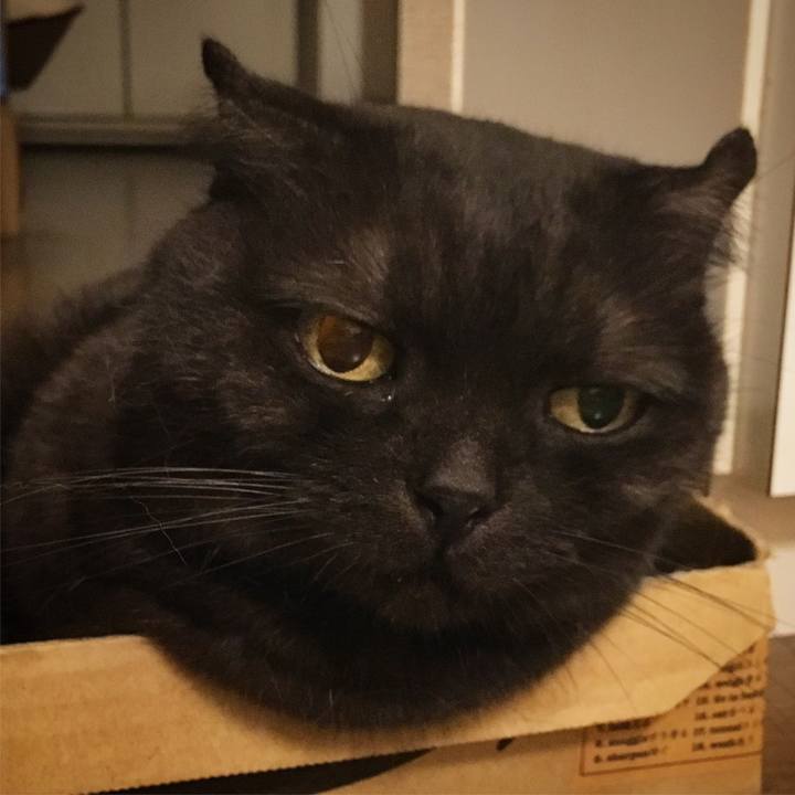 5d480348 55cf 44e7 a7ac 51466a625229 1534785395454