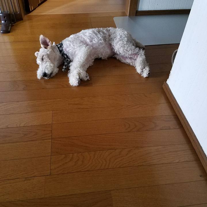 5d48249f d23e 4910 87ea 470630e02f79 1530337554514