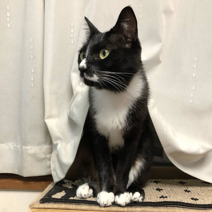 5d482e15 1716 4f55 9e1d 34c85abe8da0 1596253427582