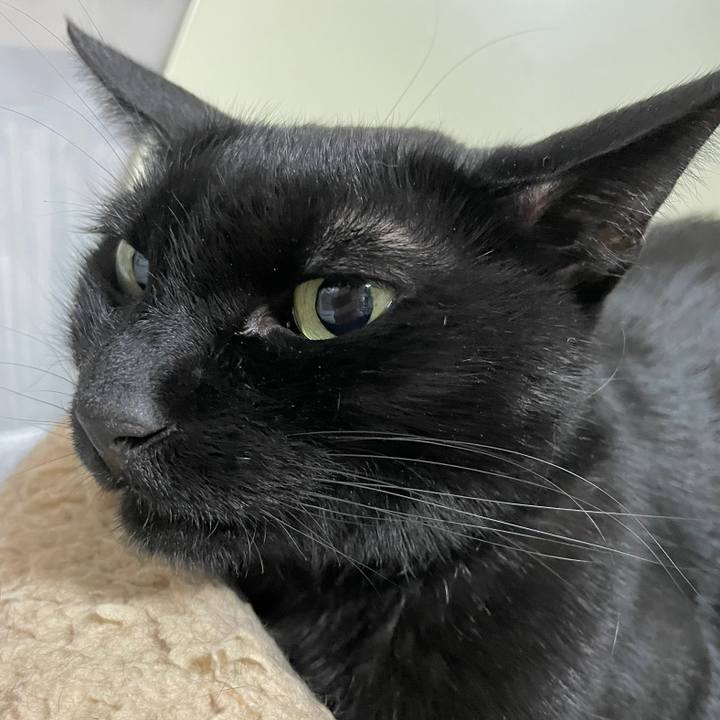 5d48451e ff17 453b 9242 8b0ddd87c020 1689334490455