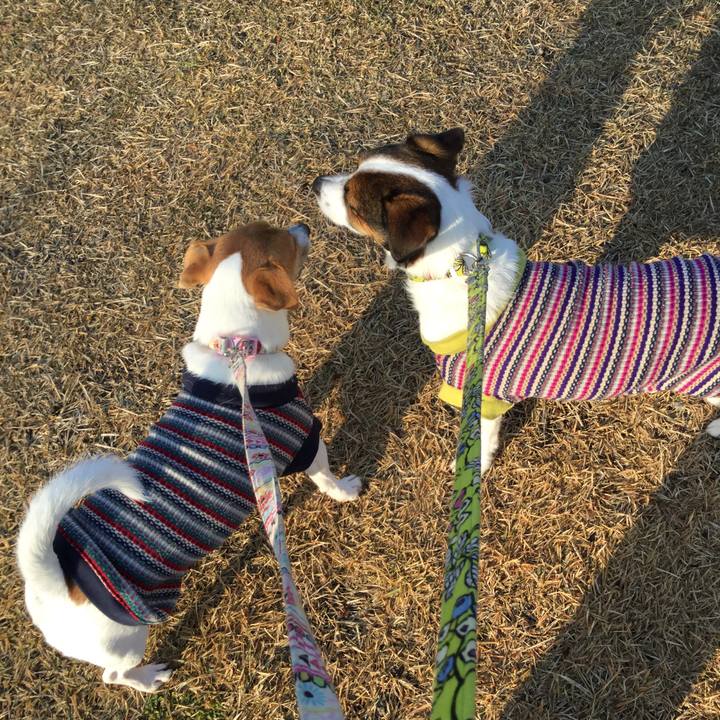 5d48476b 063b 433b b9cb 07b4f24050b7 1545351765177