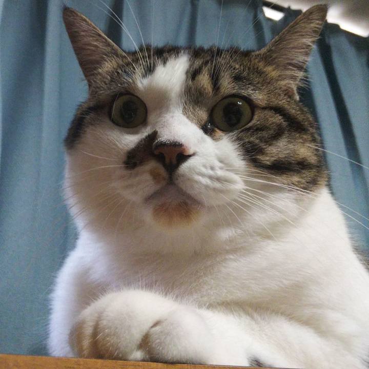 5d485f81 c522 48af 8269 1bbf30b5dcd5 1661557531265