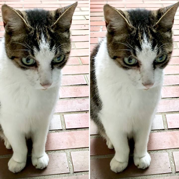 5d48a2d6 7475 4bf5 b2d8 e6f4b0d329fd 1535773299658