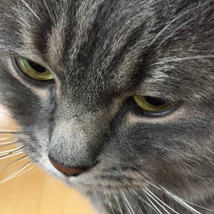 5d48ae00 d196 4111 968b 85f71e94df99 1513377579110