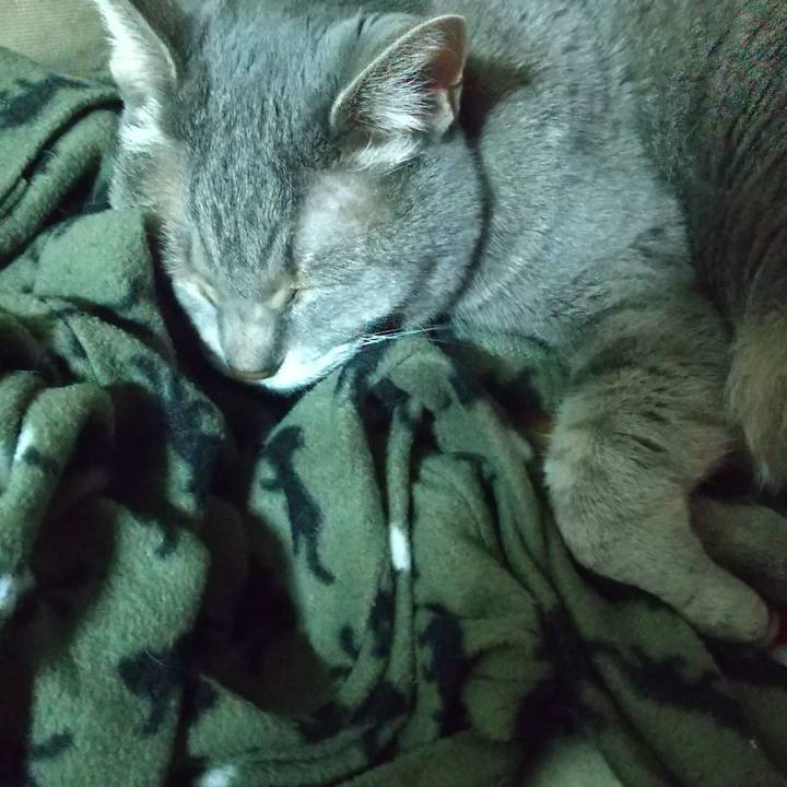 5d48e750 2c9a 4a9d 8103 96cd45c14092 1675848728531