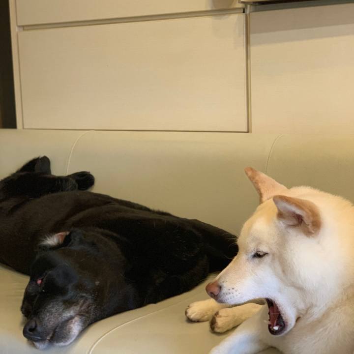 5d48ed79 a3f0 4406 b1f7 dfb799c068d2 1554727193078