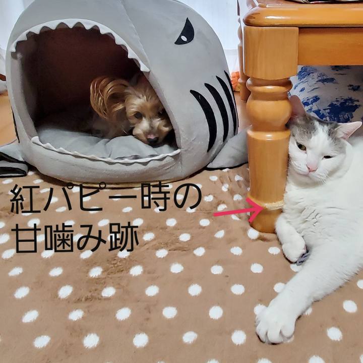 5d48f81e 4f90 4c24 bd10 2f997e754095 1571353814397