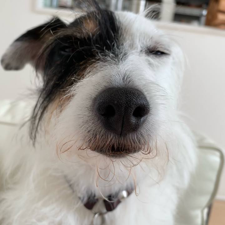 5d491666 e035 4e8d 9ffa 6291c325e759 1688530393402