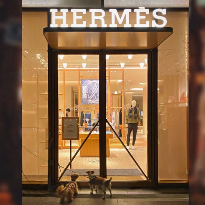 5d495d67 db91 4bf8 876e 5fab37bbb681 1728645941270