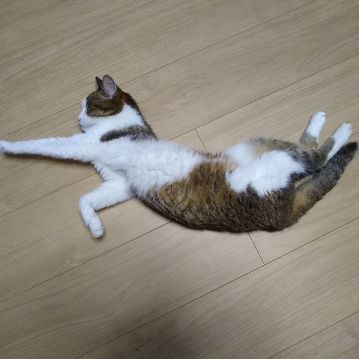 5d498ef7 90ff 449f a74b afae56874b04 1561201537890