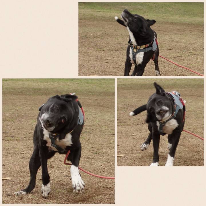 5d499e11 2927 41d7 9d38 34ff6bcd525e 1742778118973