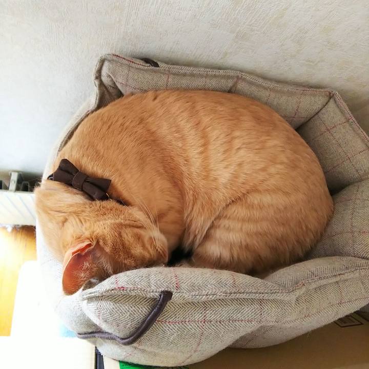 5d49d941 9312 452c 863c 4a831e045c78 1637983492147