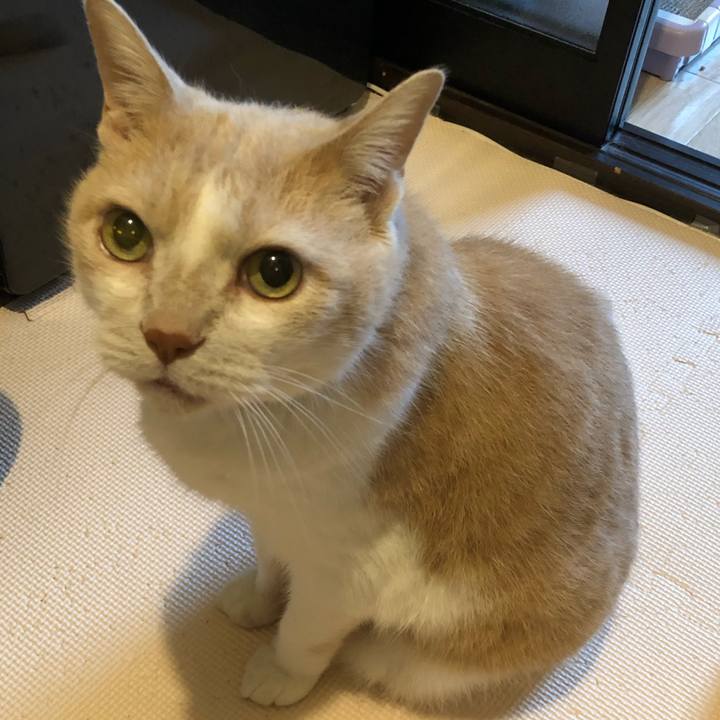 5d4a2ae2 13f0 4dcc ad3e 0cbf27d80abd 1631137476481