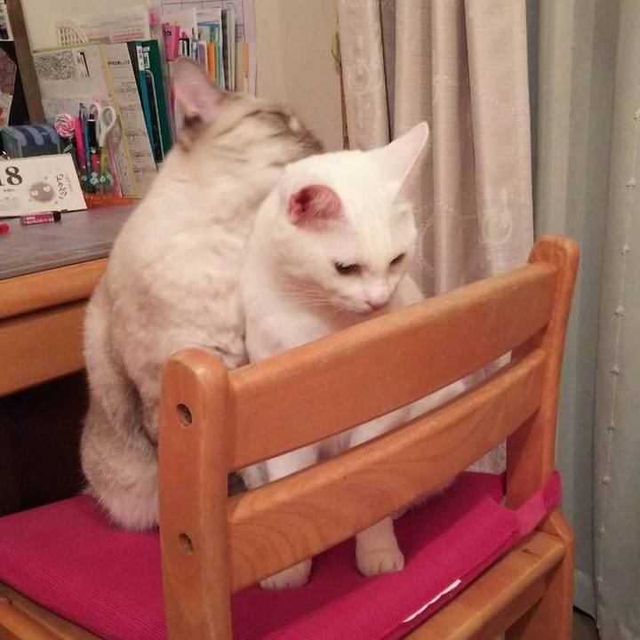 5d4a3fc9 40e3 4f43 a033 efca3692a1af 1539927572573