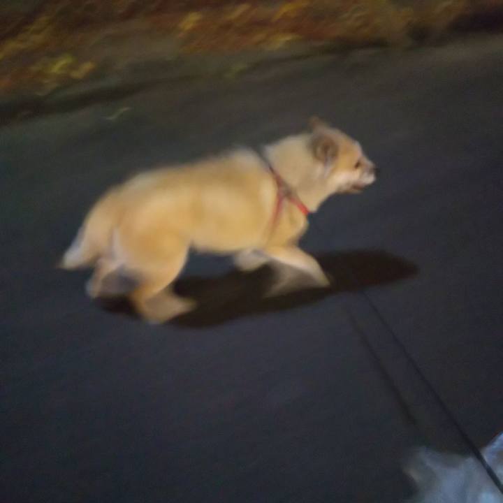 5d4a4afd 0481 42ef abaf be1e3ee561cf 1570529546411