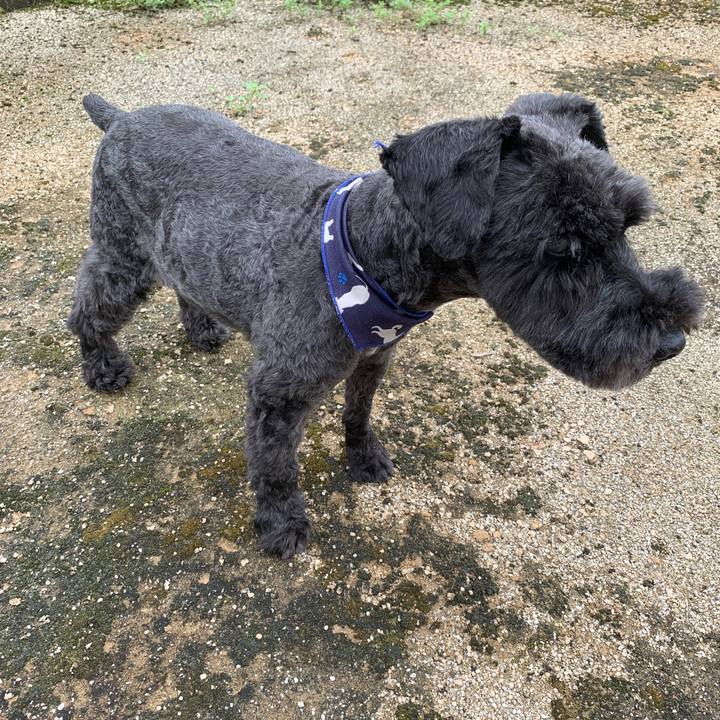 5d4a80d2 59aa 47ae a970 ff2f69f83a8a 1662166278255