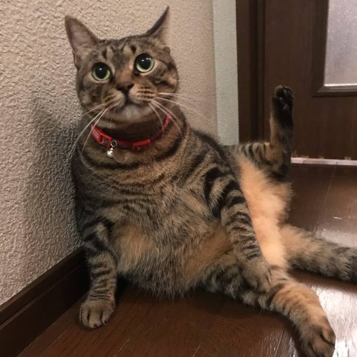 5d4a9a33 5699 41d8 8f9a 89d86b1b2885 1563717311302