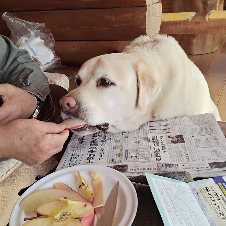 5d4b61fd 47da 427d 99a3 3d9b6d9faae1 1769053743642