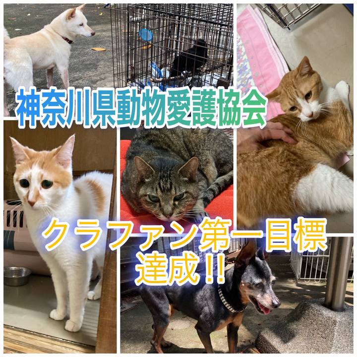 5d4b69d6 71ec 4639 a060 6d070d0c51fb 1688117009057