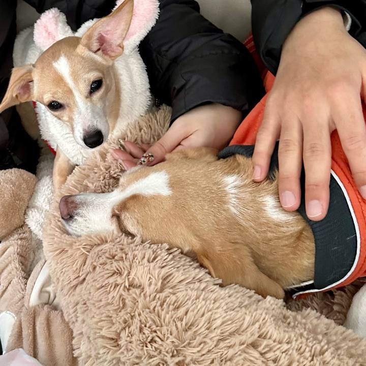 5d4bb260 a6df 433e 84da 2753f0cc3322 1671332927317