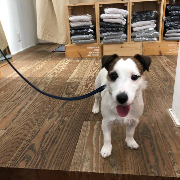 5d4bb928 abe0 493a ac48 c4465a4b35f3 1570962922055