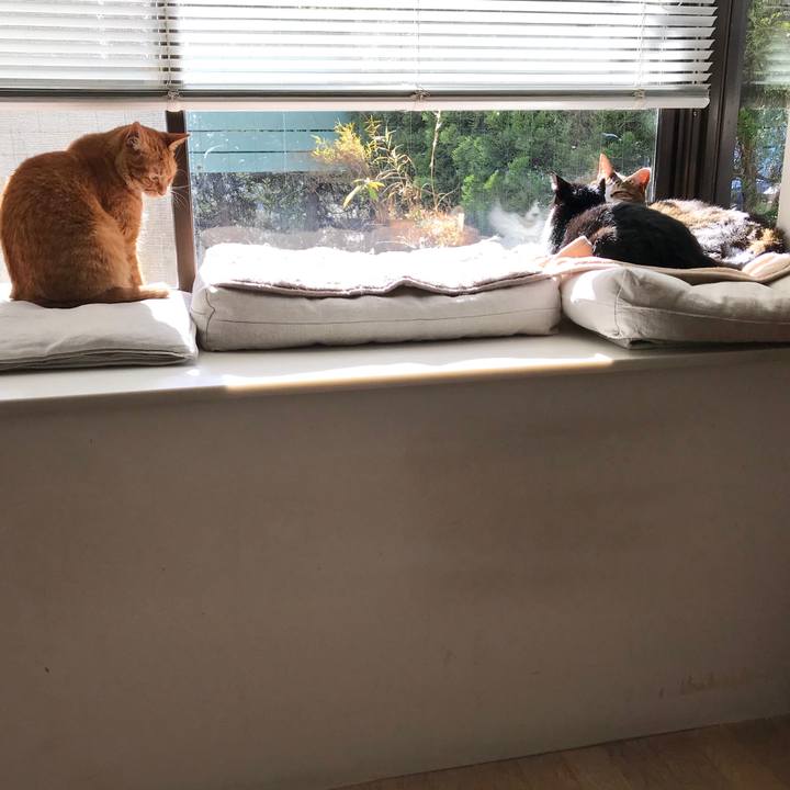 5d4c1915 b78d 4e7e b46f 26322b2cbbd9 1514436501933