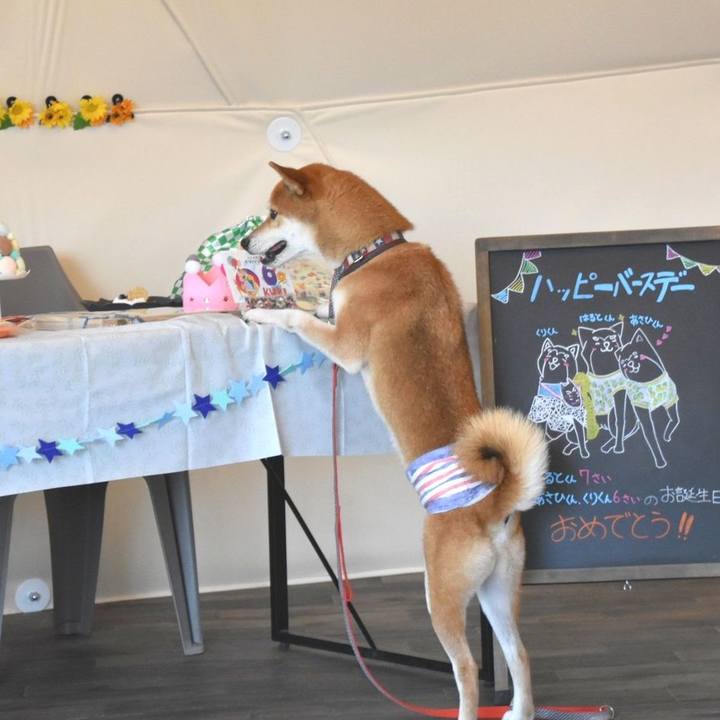 5d4c21e7 d93c 4dce aa5f 992bb22d9329 1692931185266