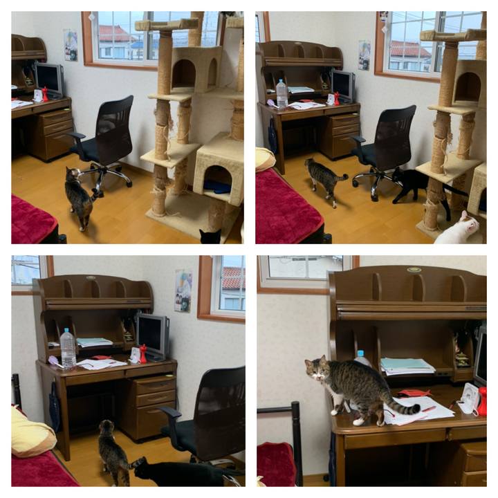 5d4c2493 eedb 493f 9149 a27f7890e7ae 1616995970765