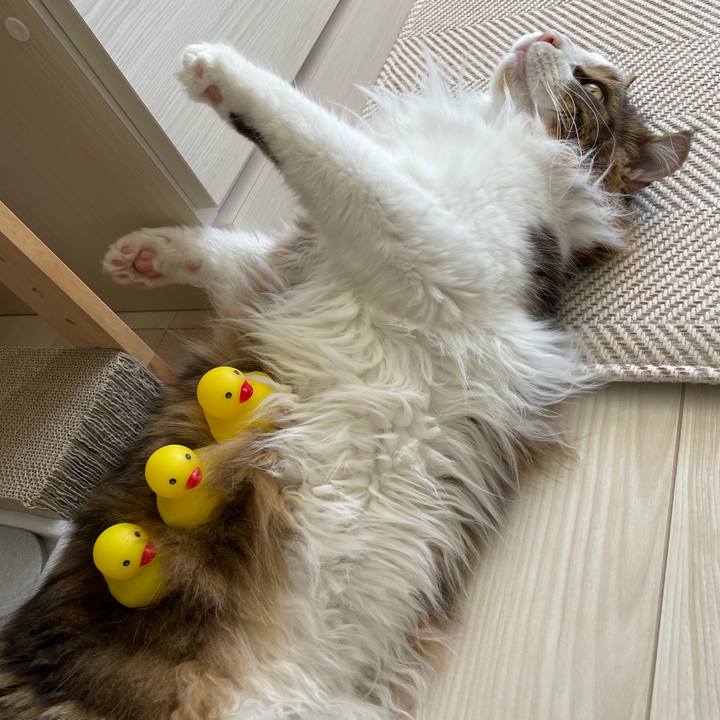 5d4c2d01 601e 47df a320 d143837c1ba3 1653946941504