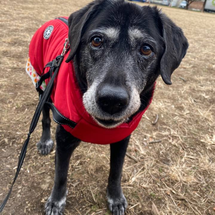 5d4c345c d76c 454e 8d40 d33f067b3134 1737557521366