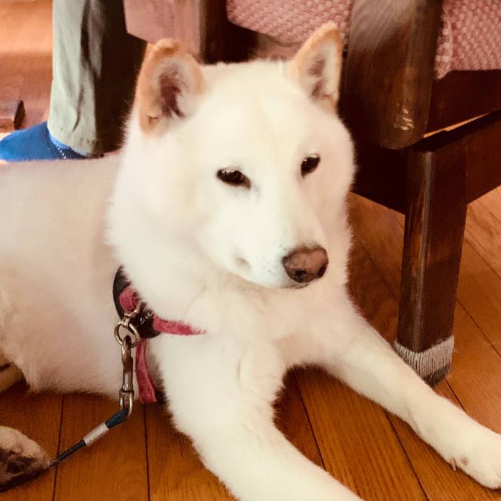 5d4c6242 387d 4791 9cfe 3fd791fb2963 1591393466411