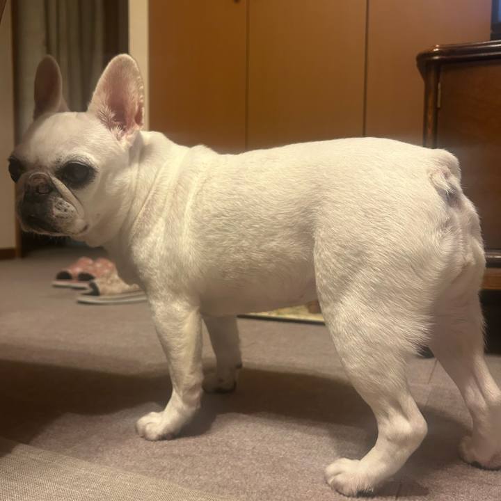 5d4c6433 27aa 41a3 a19a 5d6ea7b61b5d 1761476428606