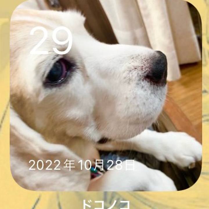 5d4cb726 af6a 4054 9e16 9a11cb00a549 1698540785624