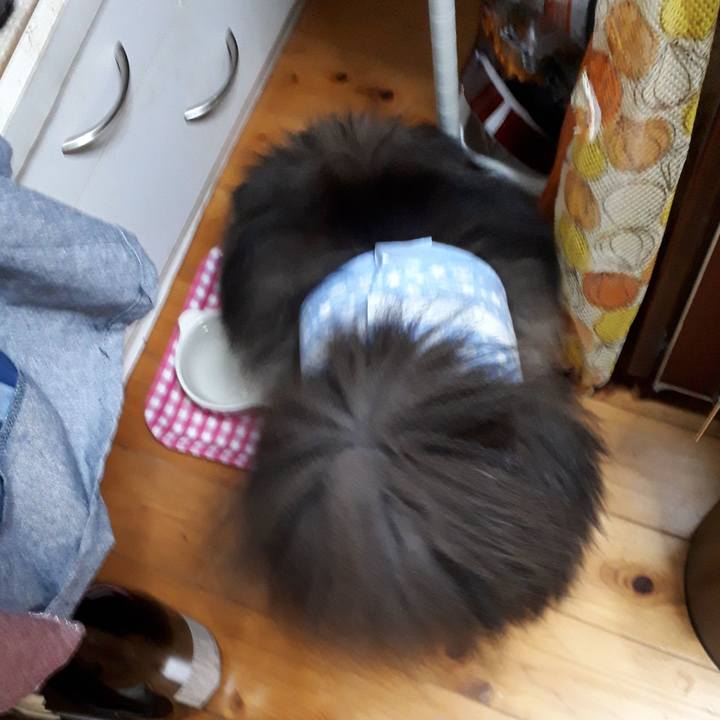 5d4cf3ab 7fdd 4b28 9744 84c1e49d2d5d 1522009089357