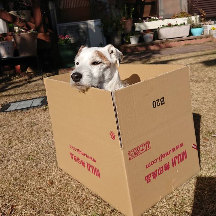 5d4cfa33 26ff 4250 82b8 c8dcab1457dd 1547507520162