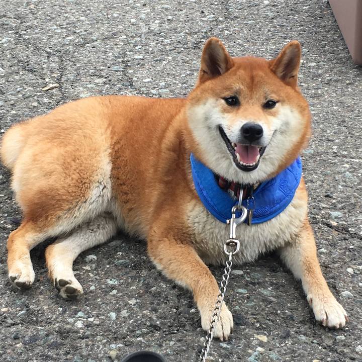 5d4d0e8e 3195 4247 89f9 acde56de2460 1532776446826