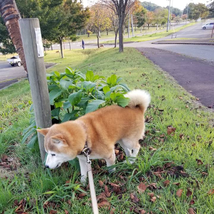 5d4d2d14 cfd3 4023 97f5 03c9b8baf915 1697265713132