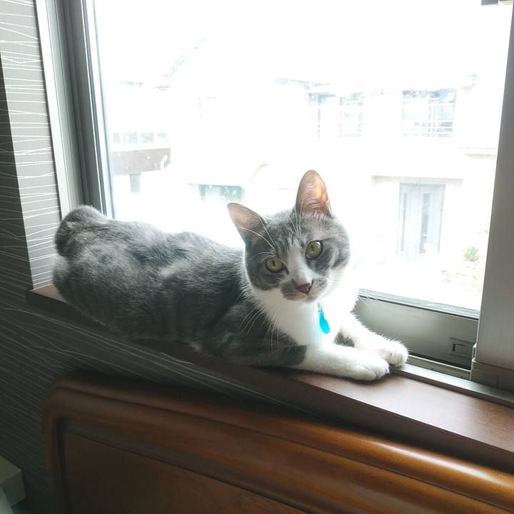 5d4d3266 cdf0 4a14 a30e 2405f3004750 1590531533991