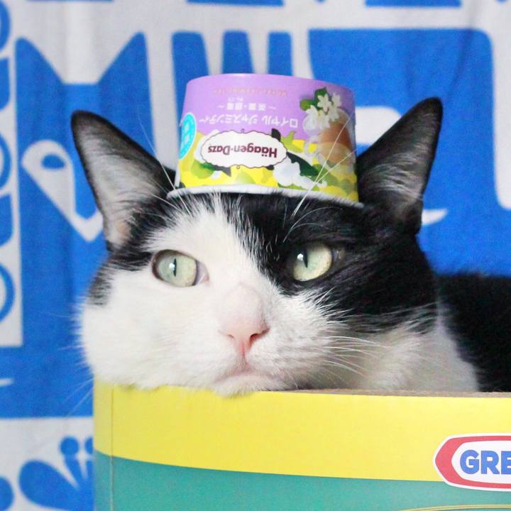 5d4d46c5 f6ca 4426 b065 d29ace34cabb 1593652868073