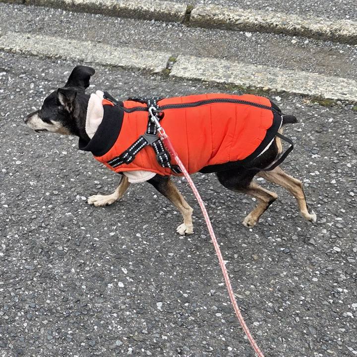 5d4d5077 2b03 453a b97e 2c76abe0b198 1767314647721