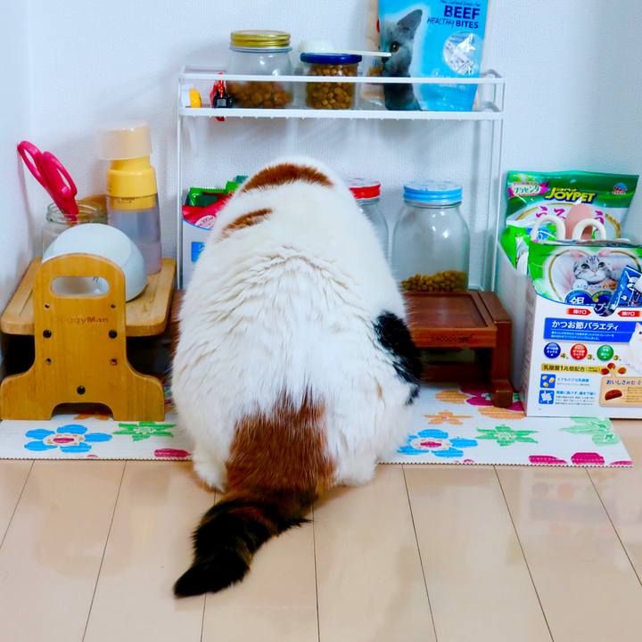 5d4d5178 3e15 4db4 94a3 a30c2dbbd6a4 1651759105125