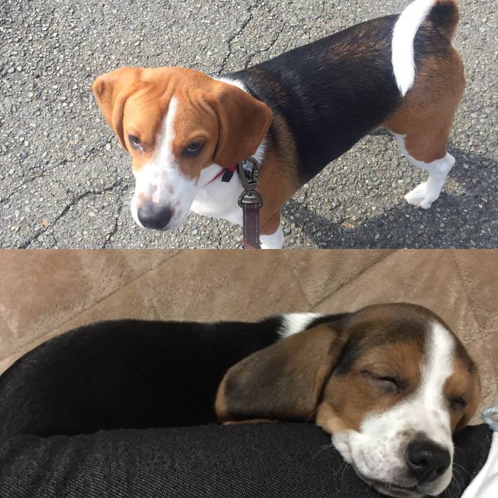 5d4daa3f e463 414d 9393 a1ec12ab7e98 1540006881306