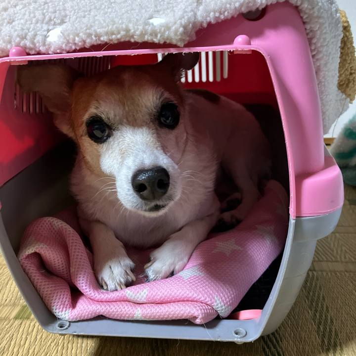 5d4dceb6 baa0 427a a645 0fb376ba7349 1767434013801