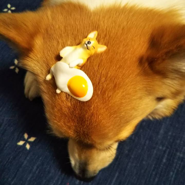 5d4df228 57fc 4a6e 89db f083a9480695 1552210751040