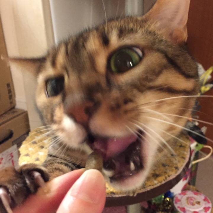 5d4e2412 91da 4e75 97e1 6f6cfea1796b 1524705703265