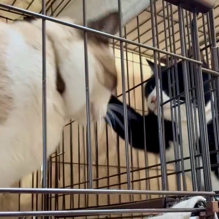 5d4e3371 220a 467f bd89 624bd91e2228 1770001936492