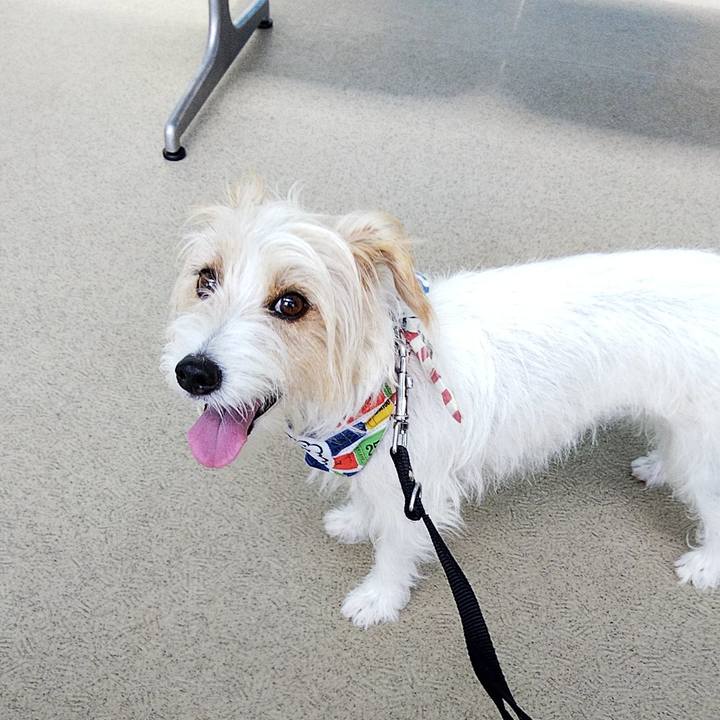 5d4e48a3 25e1 4047 a734 a2348d4f323c 1566613526539