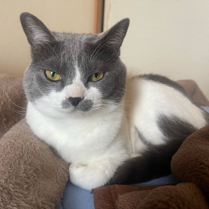 5d4ec697 6d8f 4a25 bff1 b49762fa7f6c 1655335355389