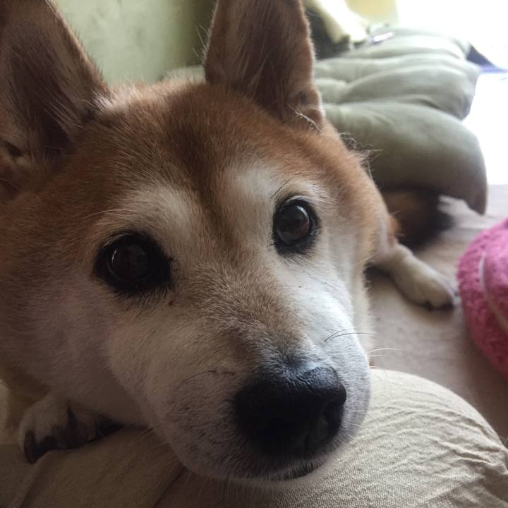 5d4ed5a4 c3ee 4c79 9277 c027262bd5e4 1537142465621